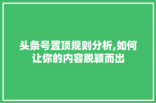 头条号置顶规则分析,如何让你的内容脱颖而出