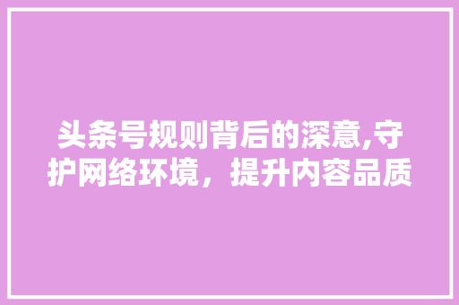 头条号规则背后的深意,守护网络环境，提升内容品质