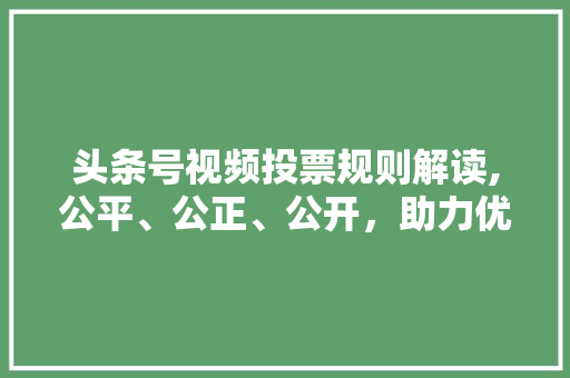 头条号视频投票规则解读,公平、公正、公开，助力优质内容脱颖而出