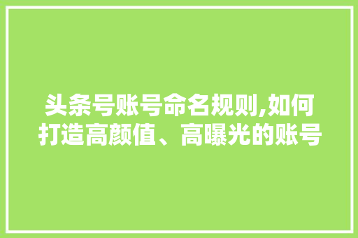 头条号账号命名规则,如何打造高颜值、高曝光的账号