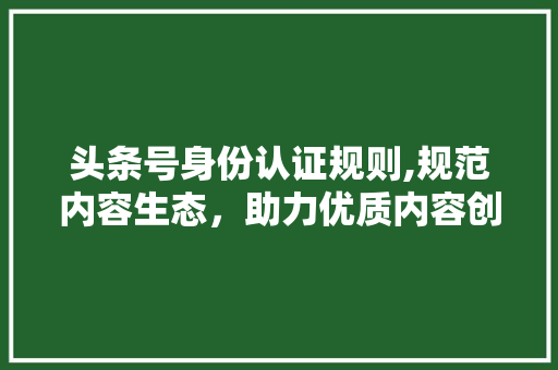 头条号身份认证规则,规范内容生态，助力优质内容创作者崛起