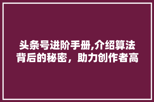 头条号进阶手册,介绍算法背后的秘密，助力创作者高效运营