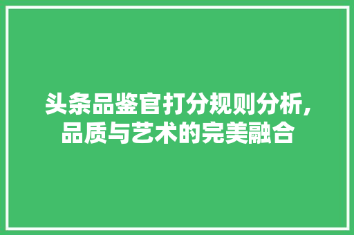 头条品鉴官打分规则分析,品质与艺术的完美融合