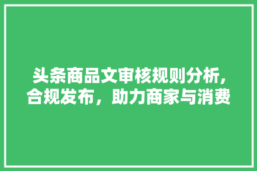 头条商品文审核规则分析,合规发布，助力商家与消费者共赢