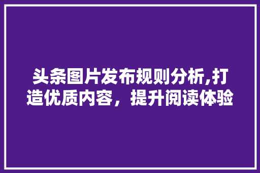 头条图片发布规则分析,打造优质内容，提升阅读体验