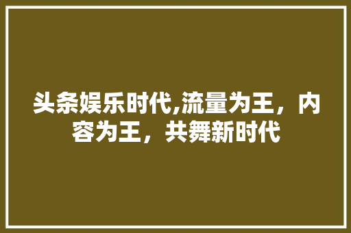 头条娱乐时代,流量为王，内容为王，共舞新时代