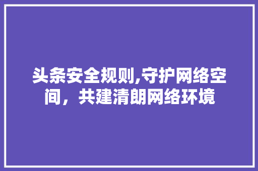 头条安全规则,守护网络空间，共建清朗网络环境