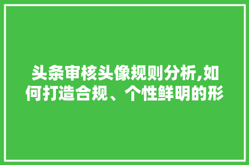 头条审核头像规则分析,如何打造合规、个性鲜明的形象标识