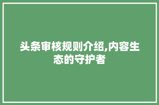 头条审核规则介绍,内容生态的守护者