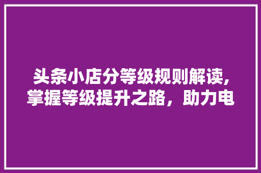 头条小店分等级规则解读,掌握等级提升之路，助力电商腾飞