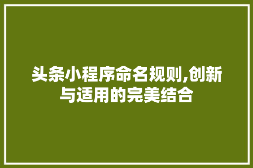 头条小程序命名规则,创新与适用的完美结合