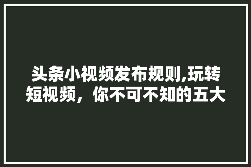 头条小视频发布规则,玩转短视频，你不可不知的五大要点