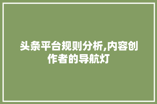 头条平台规则分析,内容创作者的导航灯