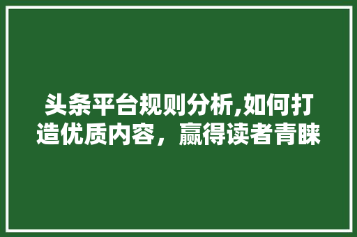 头条平台规则分析,如何打造优质内容，赢得读者青睐