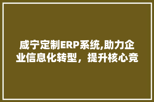 咸宁定制ERP系统,助力企业信息化转型，提升核心竞争力