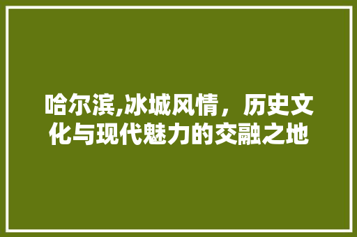 哈尔滨,冰城风情，历史文化与现代魅力的交融之地