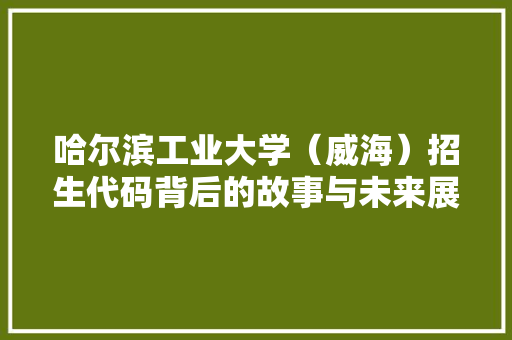 哈尔滨工业大学（威海）招生代码背后的故事与未来展望