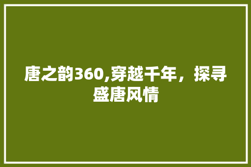 唐之韵360,穿越千年，探寻盛唐风情