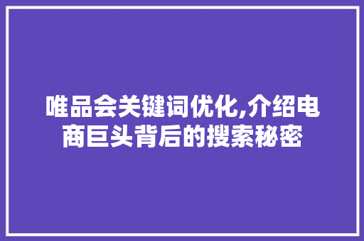 唯品会关键词优化,介绍电商巨头背后的搜索秘密