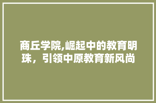 商丘学院,崛起中的教育明珠，引领中原教育新风尚