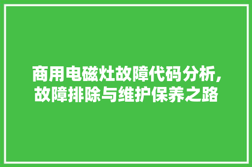 商用电磁灶故障代码分析,故障排除与维护保养之路