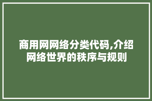 商用网网络分类代码,介绍网络世界的秩序与规则