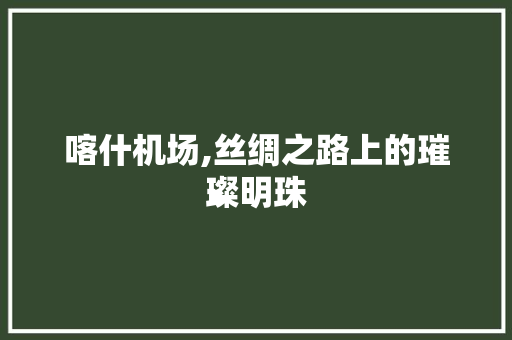 喀什机场,丝绸之路上的璀璨明珠