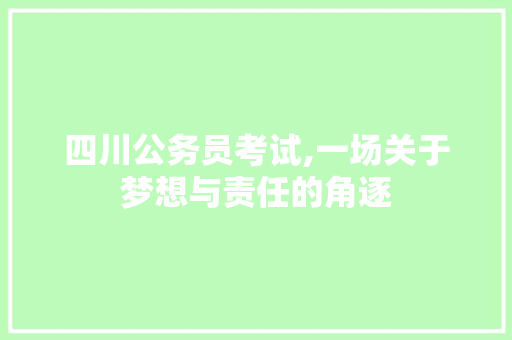 四川公务员考试,一场关于梦想与责任的角逐