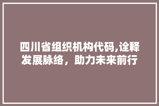 四川省组织机构代码,诠释发展脉络，助力未来前行