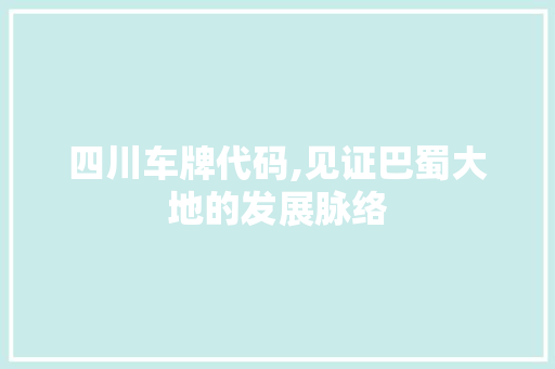 四川车牌代码,见证巴蜀大地的发展脉络