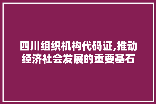 四川组织机构代码证,推动经济社会发展的重要基石