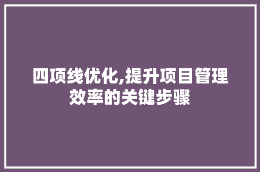 四项线优化,提升项目管理效率的关键步骤