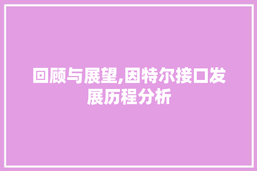 回顾与展望,因特尔接口发展历程分析