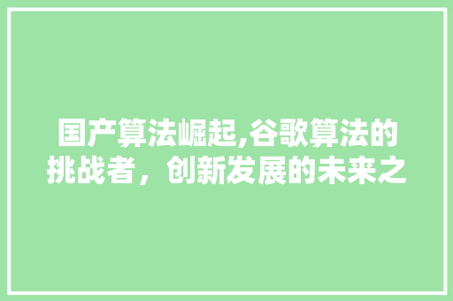 国产算法崛起,谷歌算法的挑战者，创新发展的未来之路