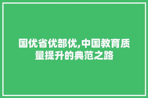 国优省优部优,中国教育质量提升的典范之路