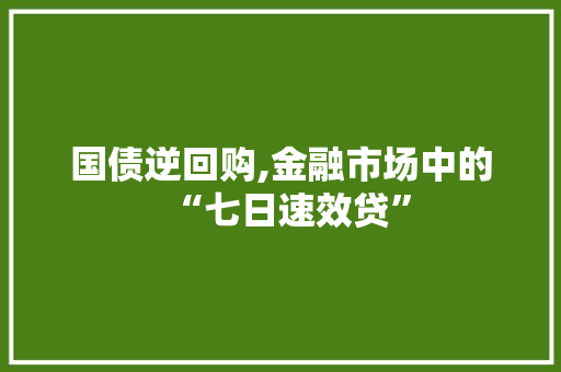 国债逆回购,金融市场中的“七日速效贷”