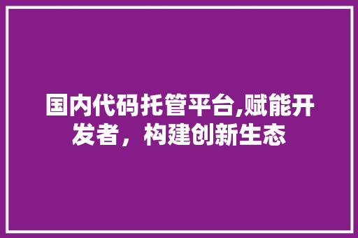 国内代码托管平台,赋能开发者，构建创新生态