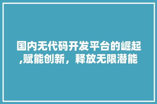 国内无代码开发平台的崛起,赋能创新，释放无限潜能