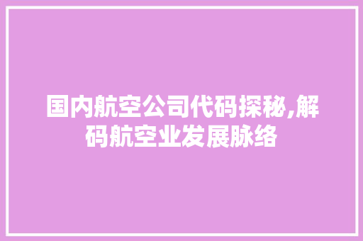 国内航空公司代码探秘,解码航空业发展脉络