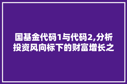 国基金代码1与代码2,分析投资风向标下的财富增长之路