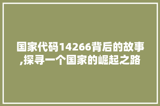 国家代码14266背后的故事,探寻一个国家的崛起之路