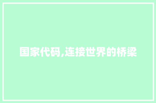 国家代码,连接世界的桥梁