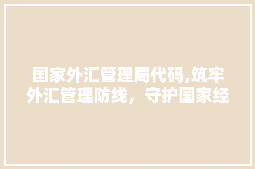 国家外汇管理局代码,筑牢外汇管理防线，守护国家经济安全