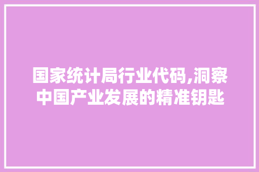 国家统计局行业代码,洞察中国产业发展的精准钥匙