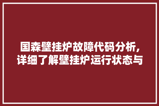 国森壁挂炉故障代码分析,详细了解壁挂炉运行状态与维护保养