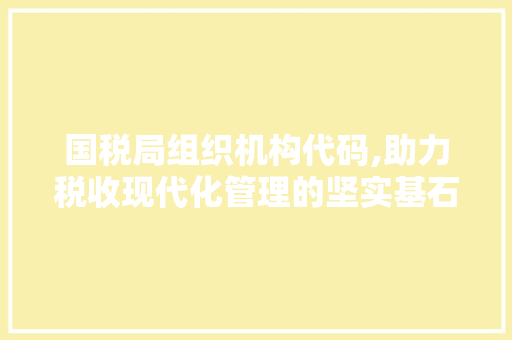 国税局组织机构代码,助力税收现代化管理的坚实基石