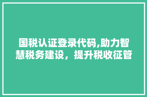 国税认证登录代码,助力智慧税务建设，提升税收征管效能