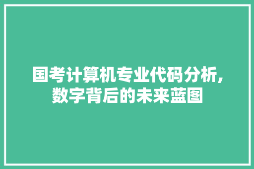 国考计算机专业代码分析,数字背后的未来蓝图