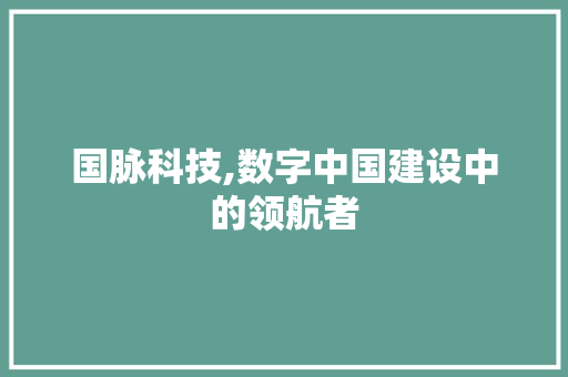 国脉科技,数字中国建设中的领航者