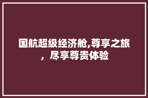 国航超级经济舱,尊享之旅，尽享尊贵体验